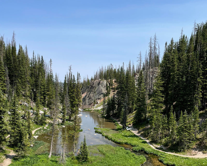 Natural Beauty: The Wonders of Wyoming