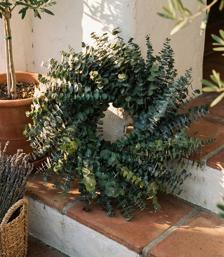 Eucalyptus Wreath