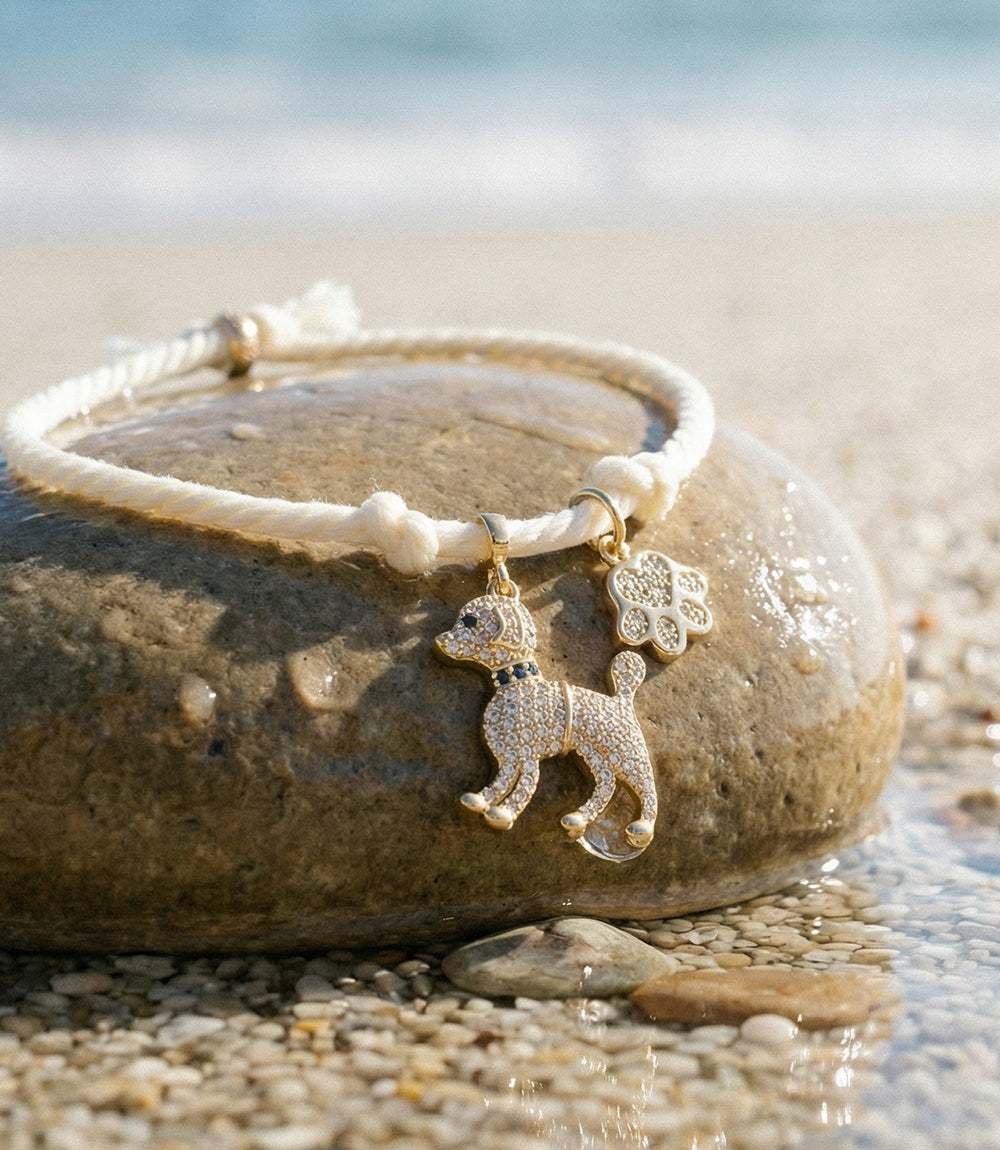 Pavé Dog And Paw Cord Bracelet