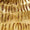 Gold Swatch