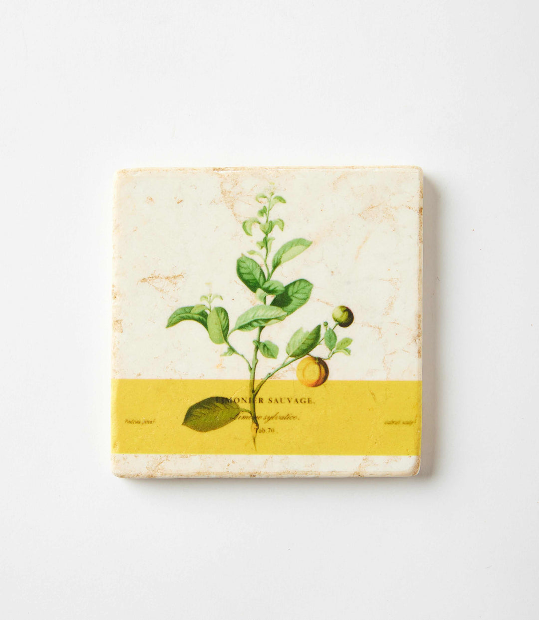 Lemon Marble Coasters, Set Of 4