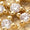 Gold Swatch