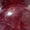 Burgundy Swatch