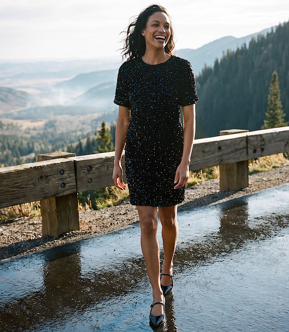 Velvet Sequin Short Sleeve Dress
