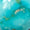 Turquoise Swatch