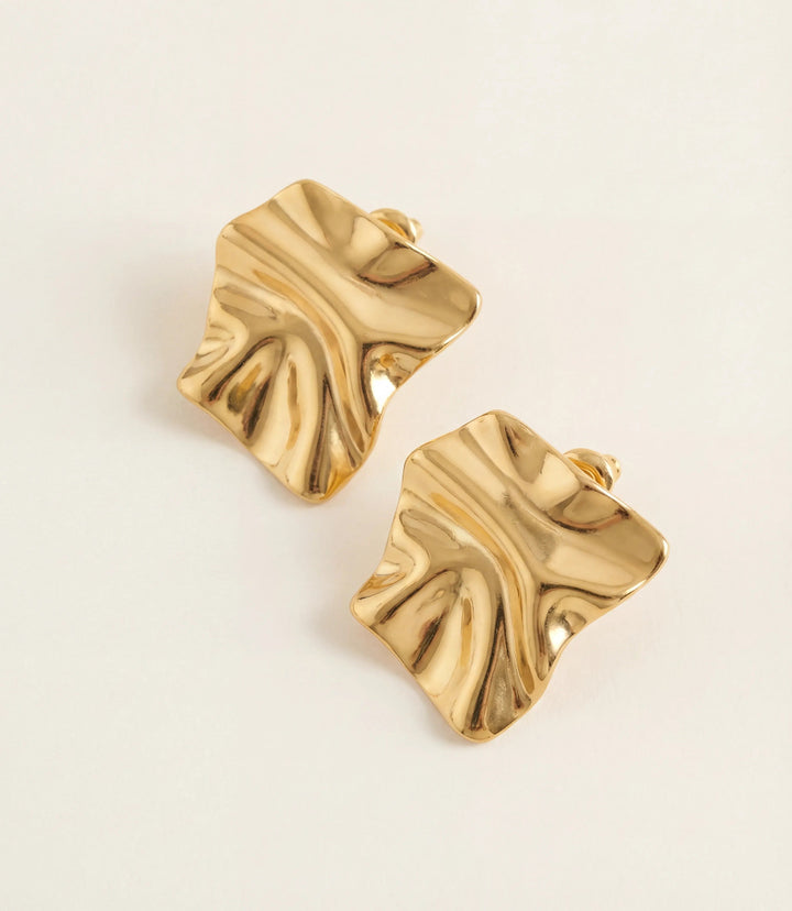 Organic Shaped Earrings