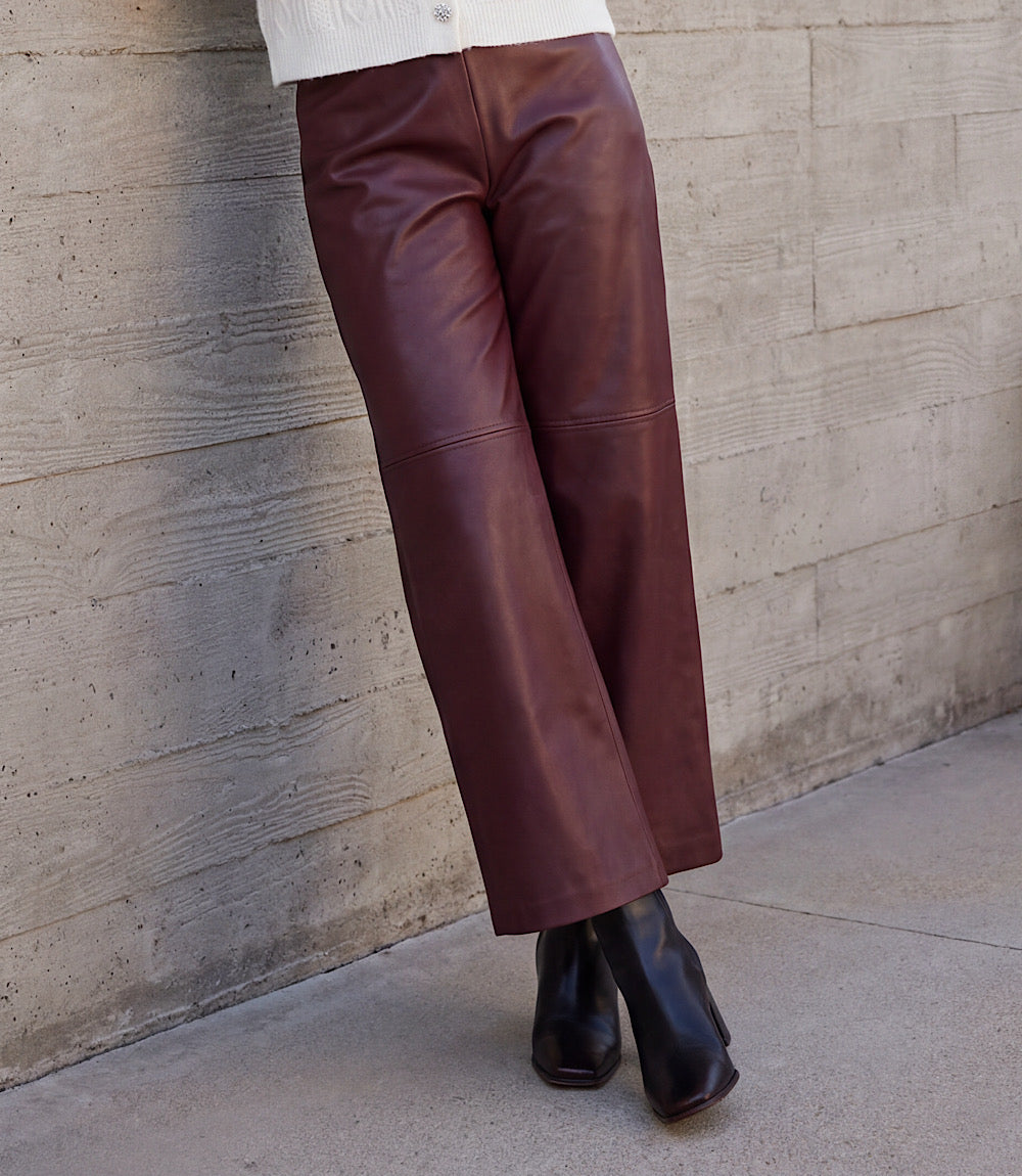 Faux Leather Pull On Ankle Pants