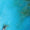 Turquoise Swatch