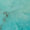 Turquoise Swatch