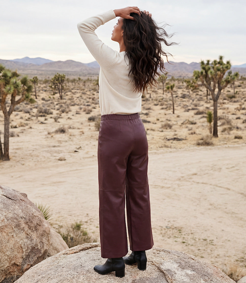 Faux Leather Pull On Ankle Pants