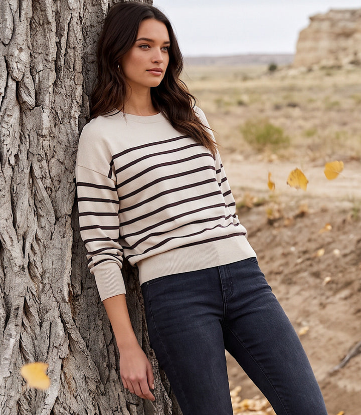 Petite Size Stripe Crewneck Sweater