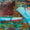 Multi Swatch