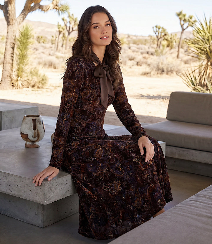 Long Sleeve Velvet Burnout Midi Dress