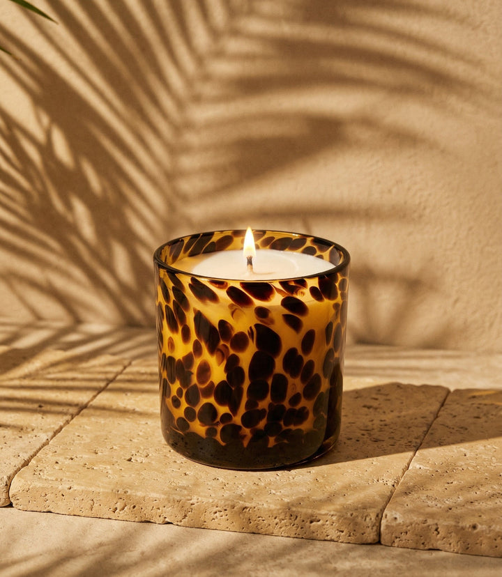 Fig And Oak Tortoise Candle