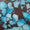 Turquoise Swatch