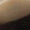 Gold Swatch