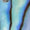 Abalone Swatch