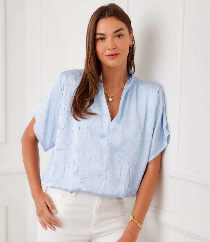 Short Sleeve V-Neck Top
