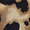 Leopard Swatch
