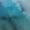 Turquoise Swatch