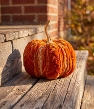 Small Braided Pumpkin