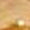 Gold Swatch
