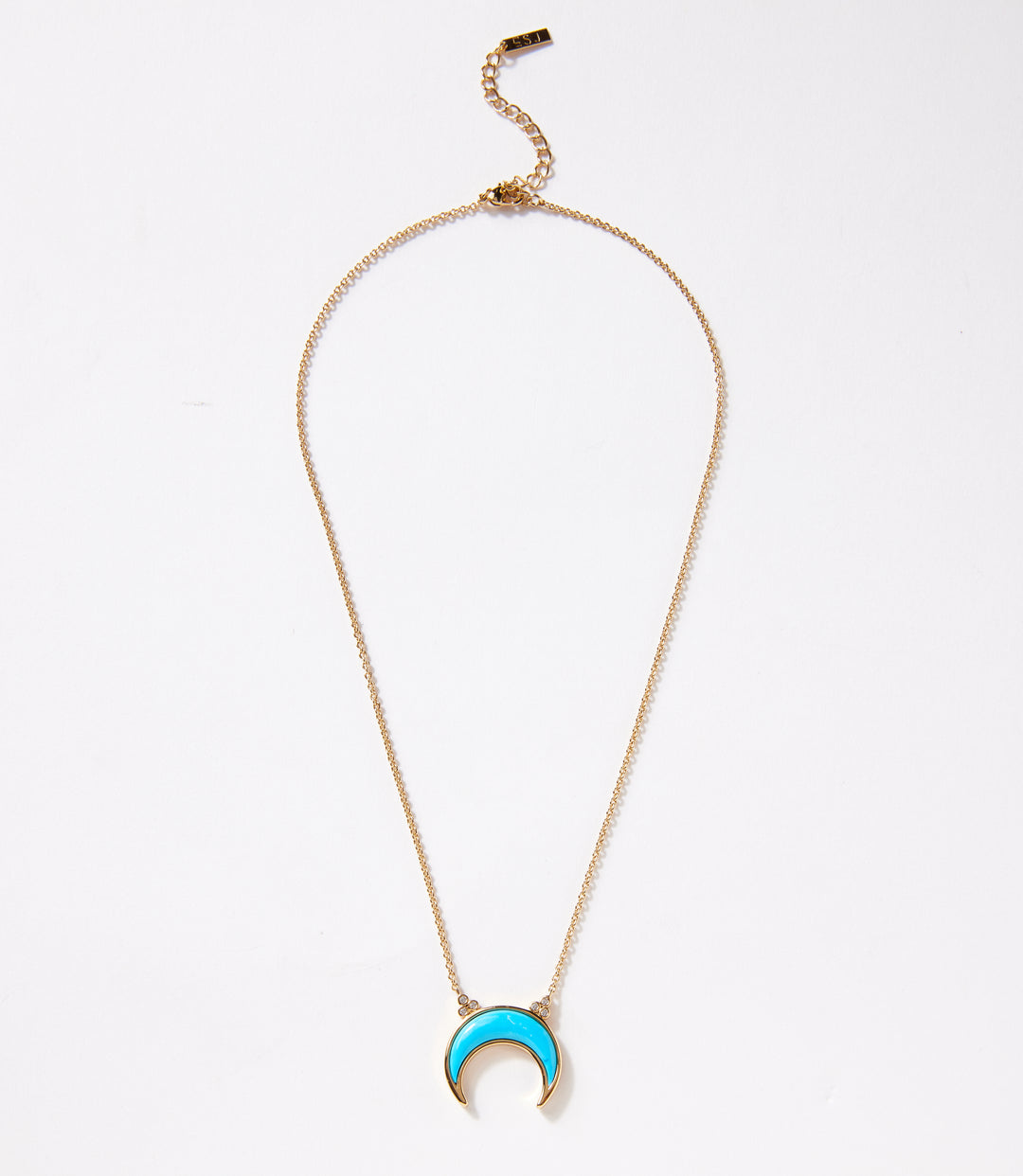 Turquoise Crescent Necklace
