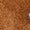 Tan Swatch