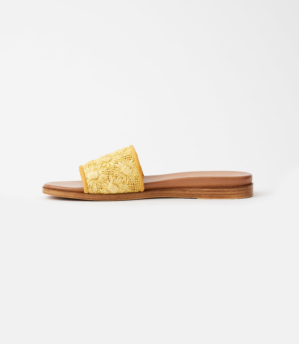 Seychelles Rafia Slides Seychelles Dakota Flower Raffia Slides – Karen Kane