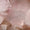 Pink Swatch