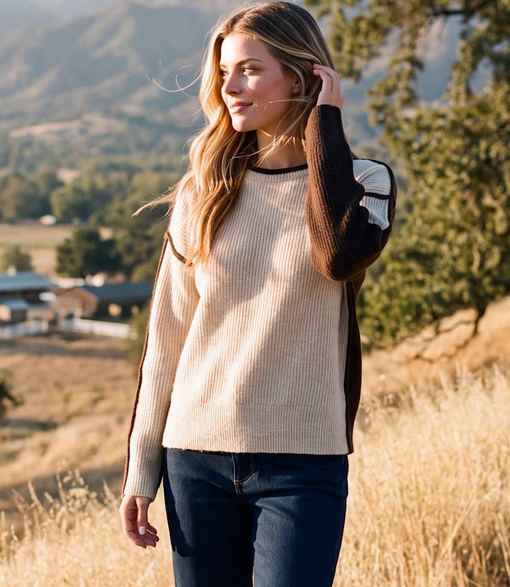 Colorblock Crewneck Sweater
