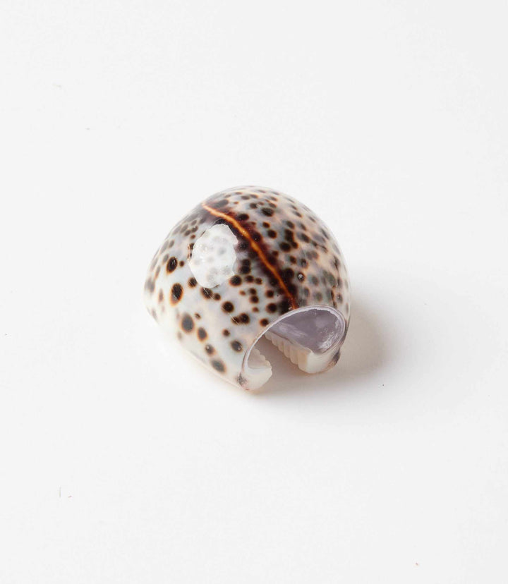 Cowrie Napkin Rings Set Of 4