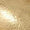 Gold Swatch