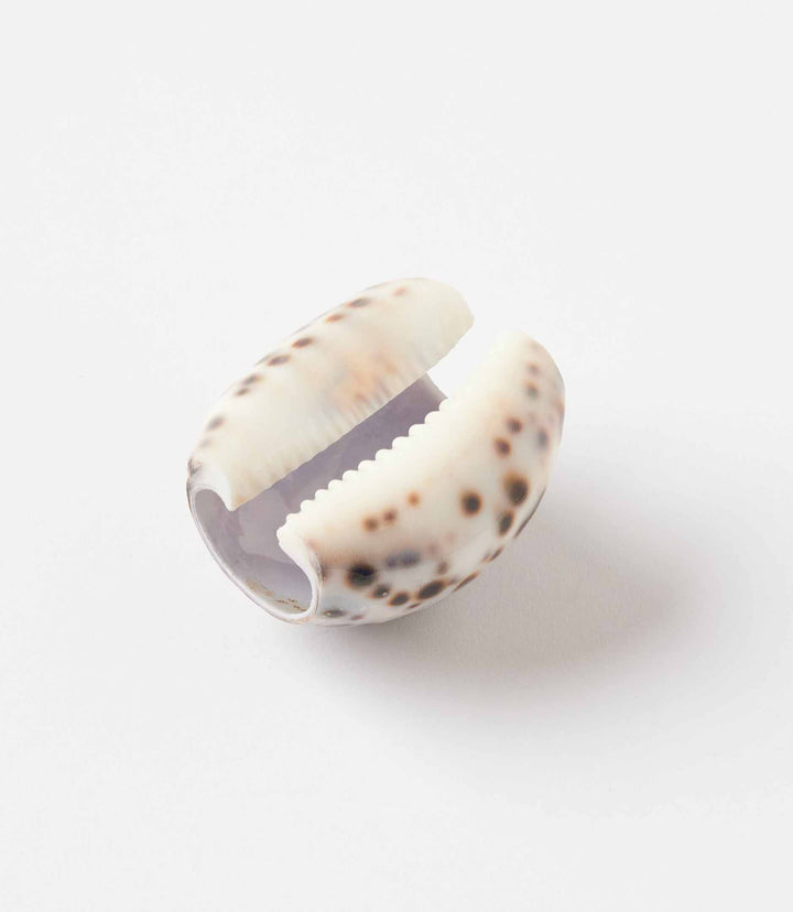 Cowrie Napkin Rings Set Of 4