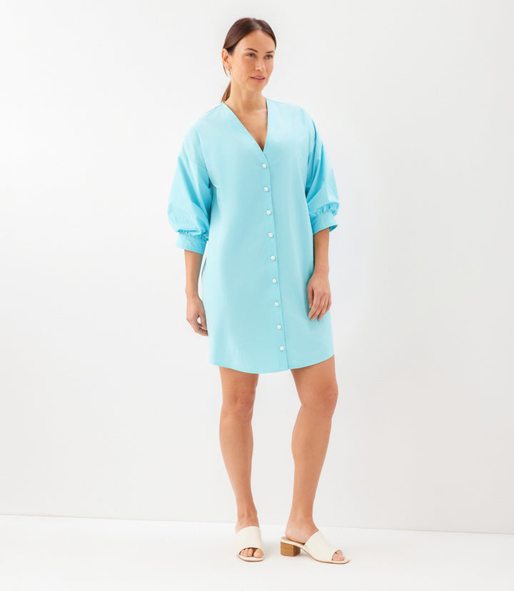 Lantern Sleeve Pearl Button Dress