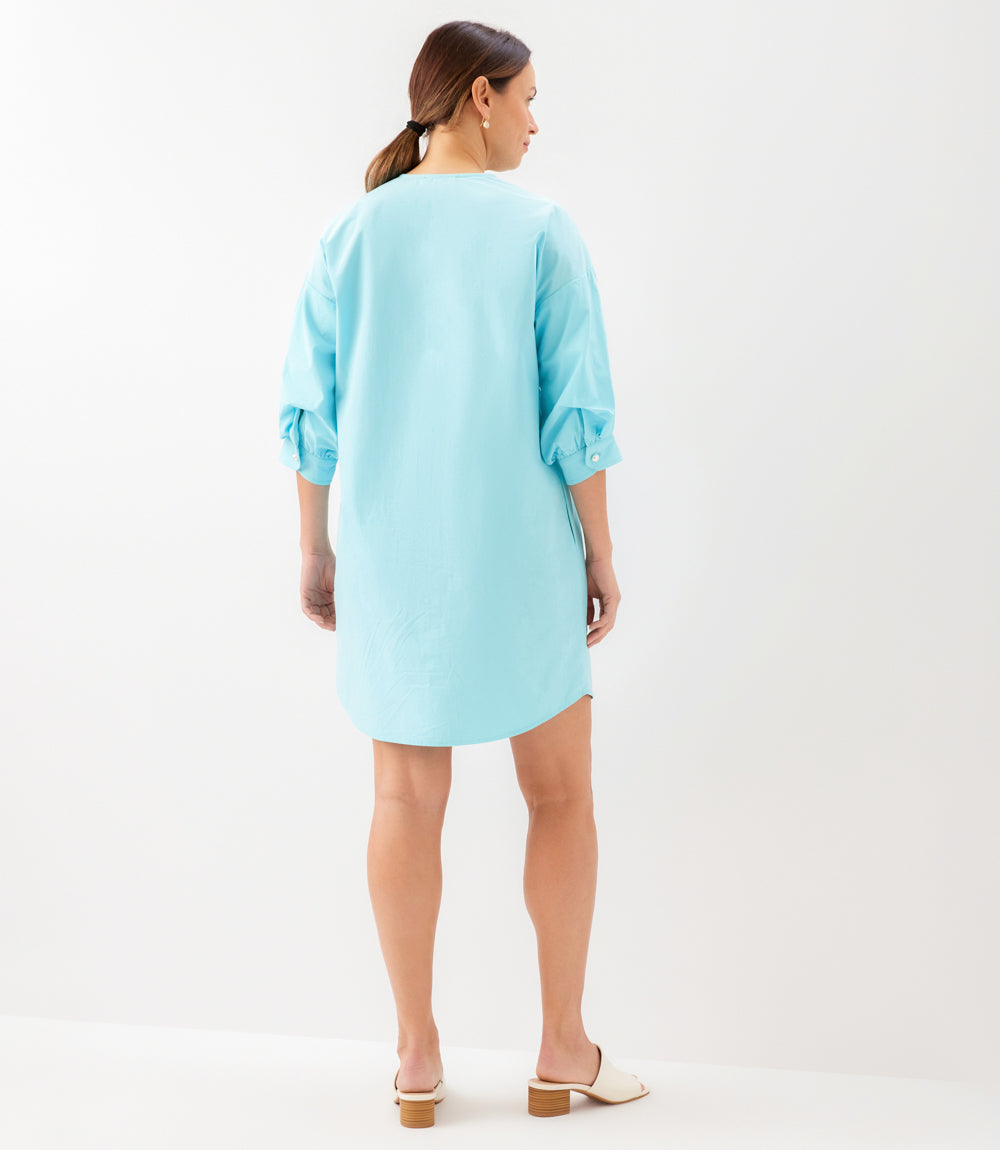 Lantern Sleeve Pearl Button Dress