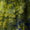 Tie Dye Swatch