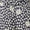 Floral Print Swatch