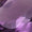 Amethyst Swatch