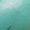 Turquoise Swatch