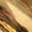 Gold Swatch