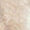 Silver Swatch