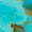 Turquoise Swatch