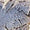 Silver Swatch