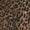 Leopard Swatch