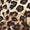 Leopard Swatch