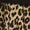 Cheetah Swatch