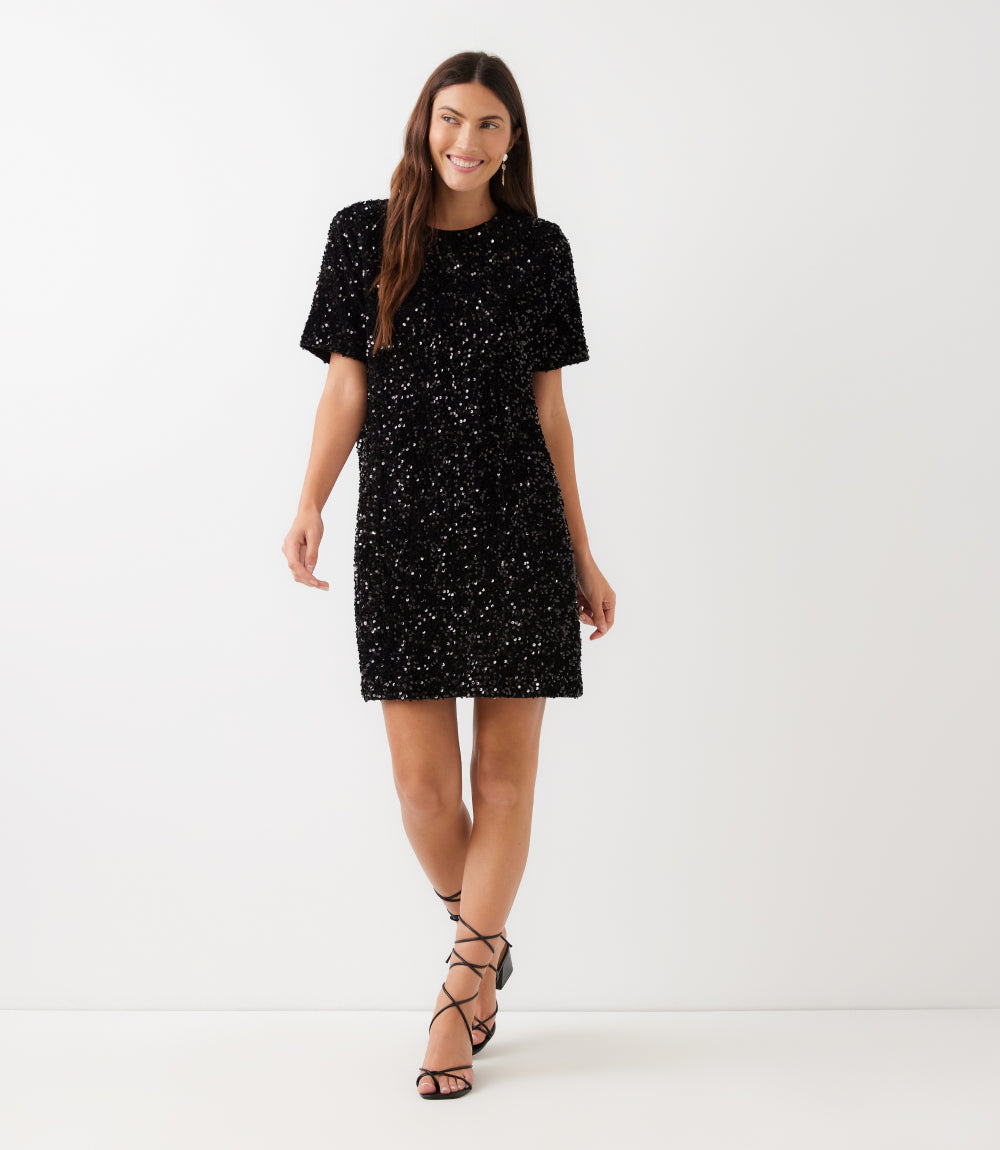 Velvet Sequin Short Sleeve Dress
