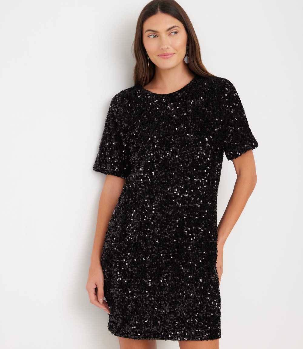Velvet Sequin Short Sleeve Dress