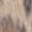 Leopard Swatch